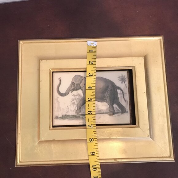 Antique Gold Framed 19th Century Elephant Print - Picture 5 of 7